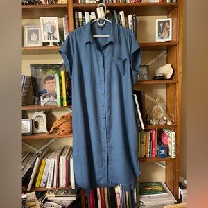 Universal Standard Dress